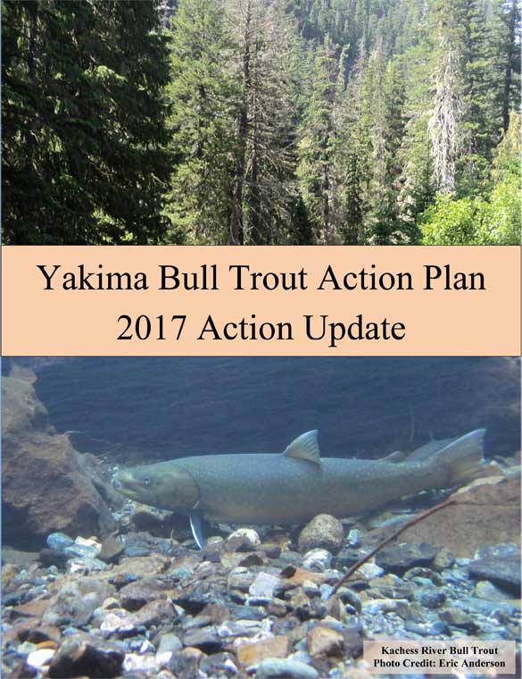 Action Plan Update - Bull Trout