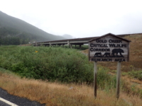 Gold Creek Wildlife Crossing