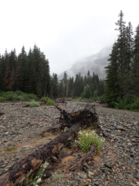 Gold Creek