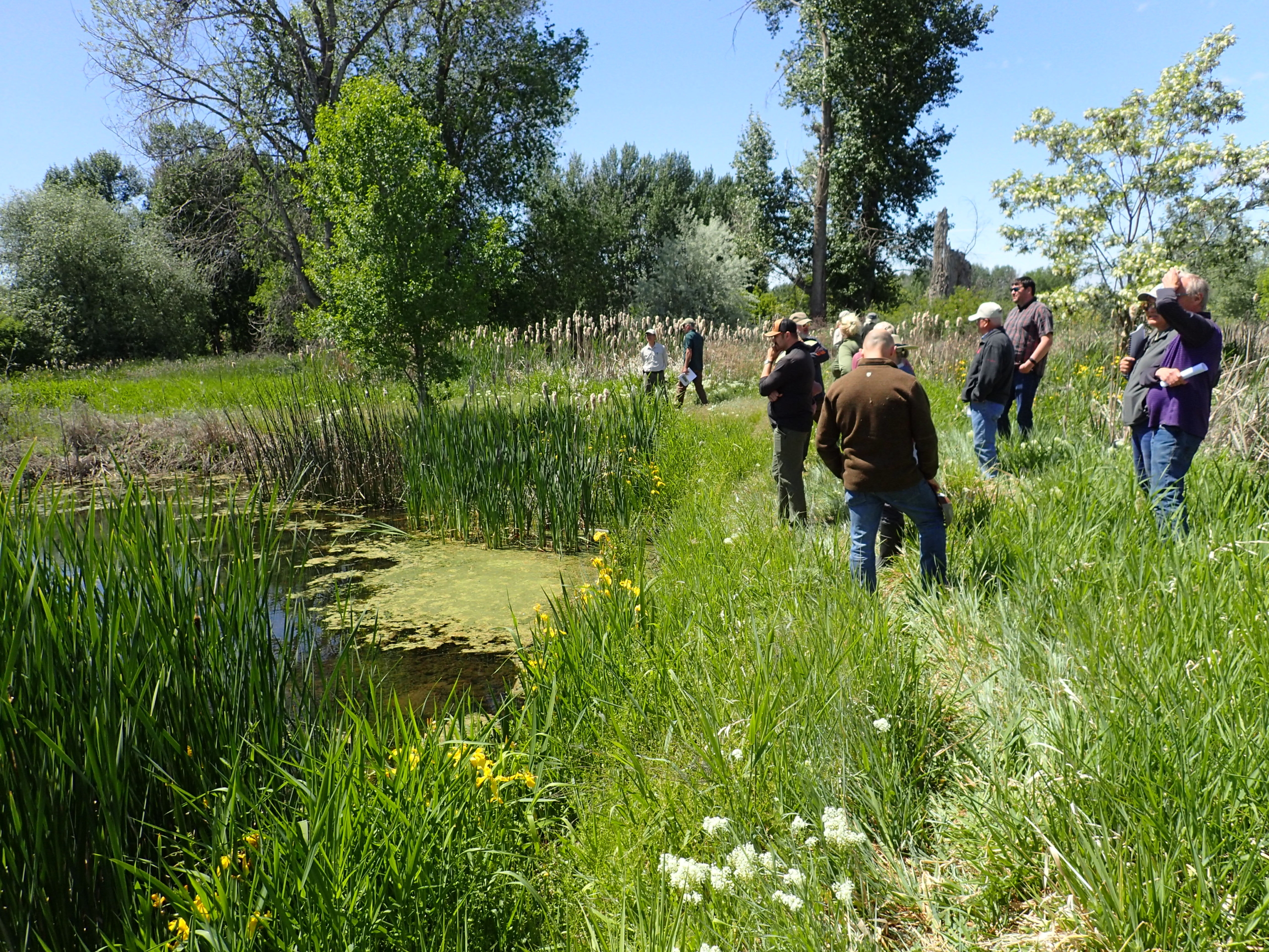 Site tours 2025 – Blue Slough